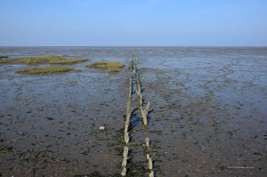 Wattenmeer