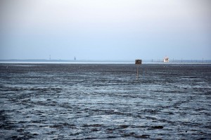 Blick über das Wattenmeer