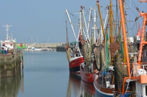 Kutter im Hafen von Neuharlingersiel