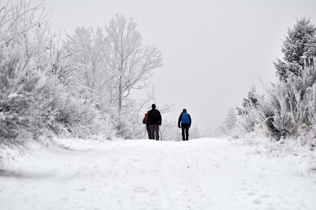 Wanderung im Schnee