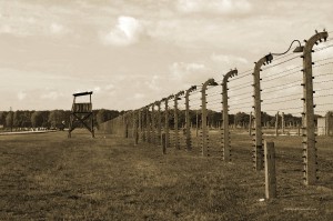 Zaun in Birkenau