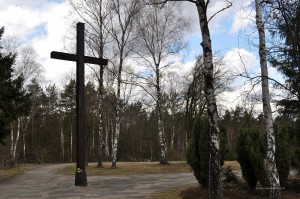 Birkenkreuz