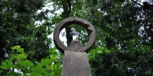 Das Pferd Niedersachsens