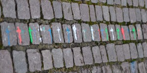 Auf dem Weg zur Tötungsanstalt