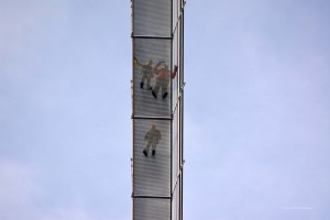Menschen auf der Highline179
