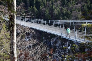 Hängebrücke in Österreich