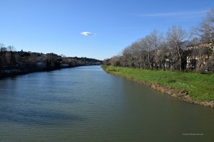 Der Fluss Arno