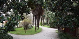 Botanischer Garten