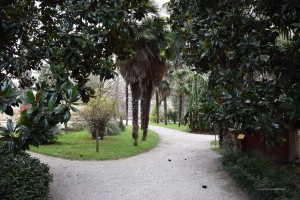 Botanischer Garten