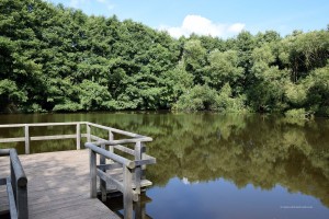 Römerweiher bei Nettersheim