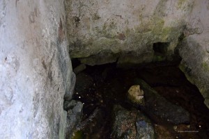 Ahrquelle in Blankenheim