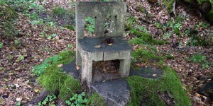 Aus dem Baum geschnitzt