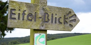 Eifelblick