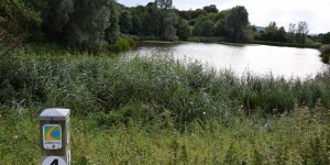 Bolsdorfer Tälchen in Hillesheim