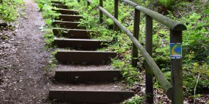 Manchmal geht es auch über Stufen