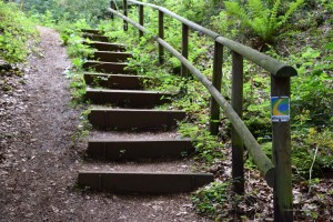 Manchmal geht es auch über Stufen