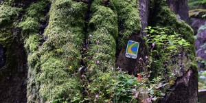 Symbol des Eifelsteigs