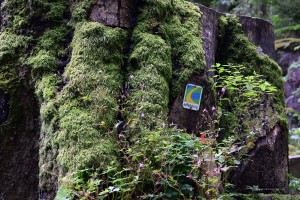 Symbol des Eifelsteigs