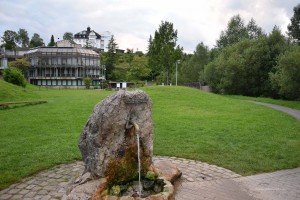 Quelle in Gerolstein