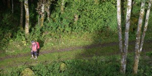 Wanderer auf dem Eifelsteig