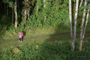 Wanderer auf dem Eifelsteig