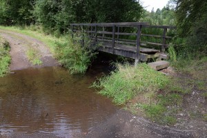 Kleine Kyll am Nerother Kopf