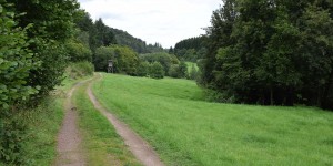 Wanderung im Liesertal