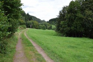 Wanderung im Liesertal