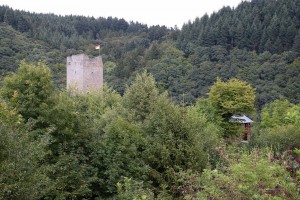 Manderscheider Burgen