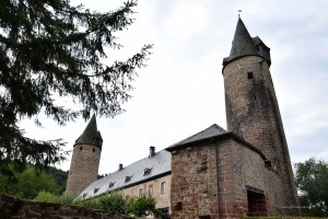 Burg in Bruch