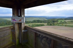 Aussichtsturm bei Rodt