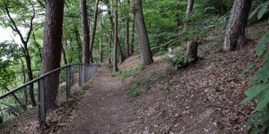 Wanderweg oberhalb der Mosel