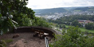 Blick auf das Moseltal