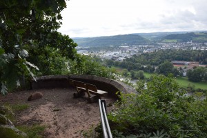 Blick auf das Moseltal