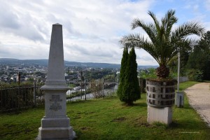 Palmen am Ende des Eifelsteigs