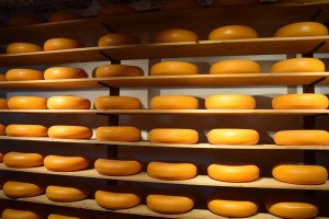 Käse in einem Käsemuseum