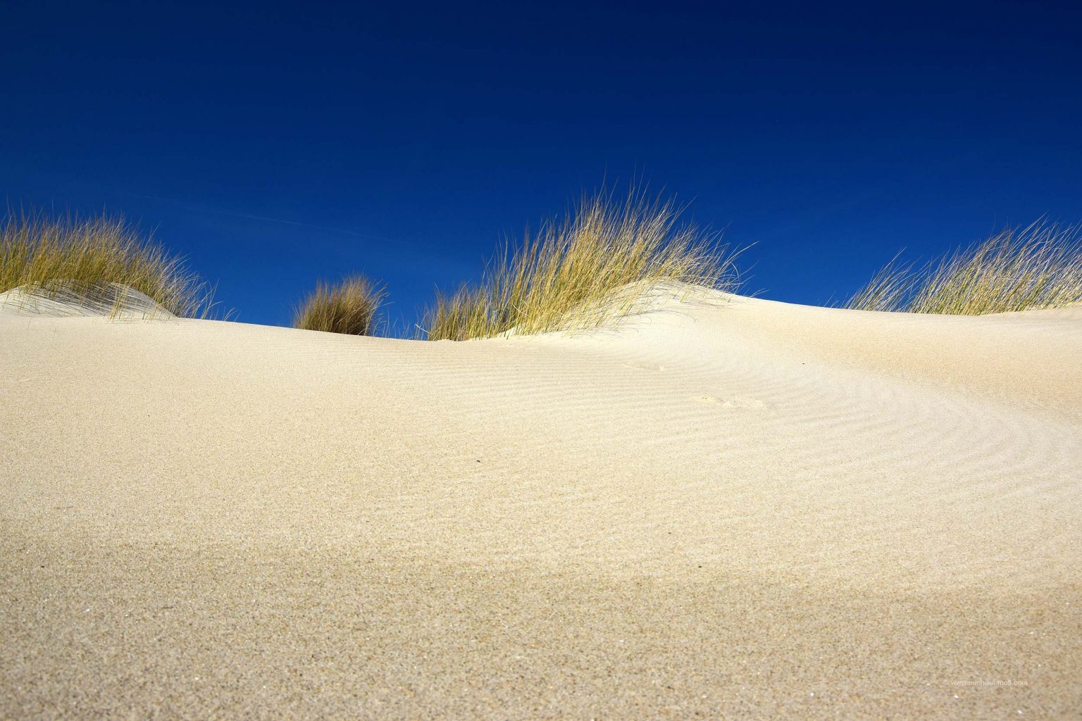 Unberührte Dünenlandschaft