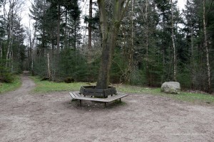 Rastplatz am Mittelpunkt