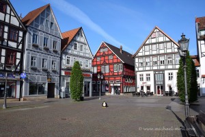 Pingu in Rinteln