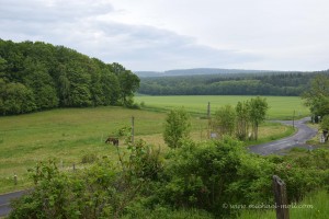 Landschaft im Weserbergland