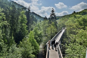 Baumwipfelpfad im Harz