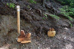 Wanderschuhe aus Holz