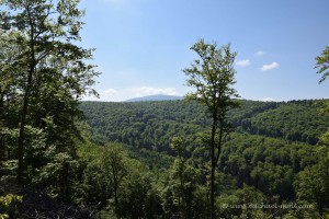 Blick zum Brocken