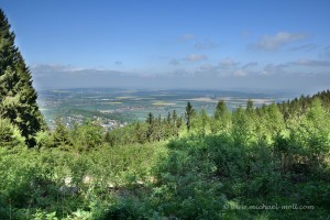 Ausblick im Harz