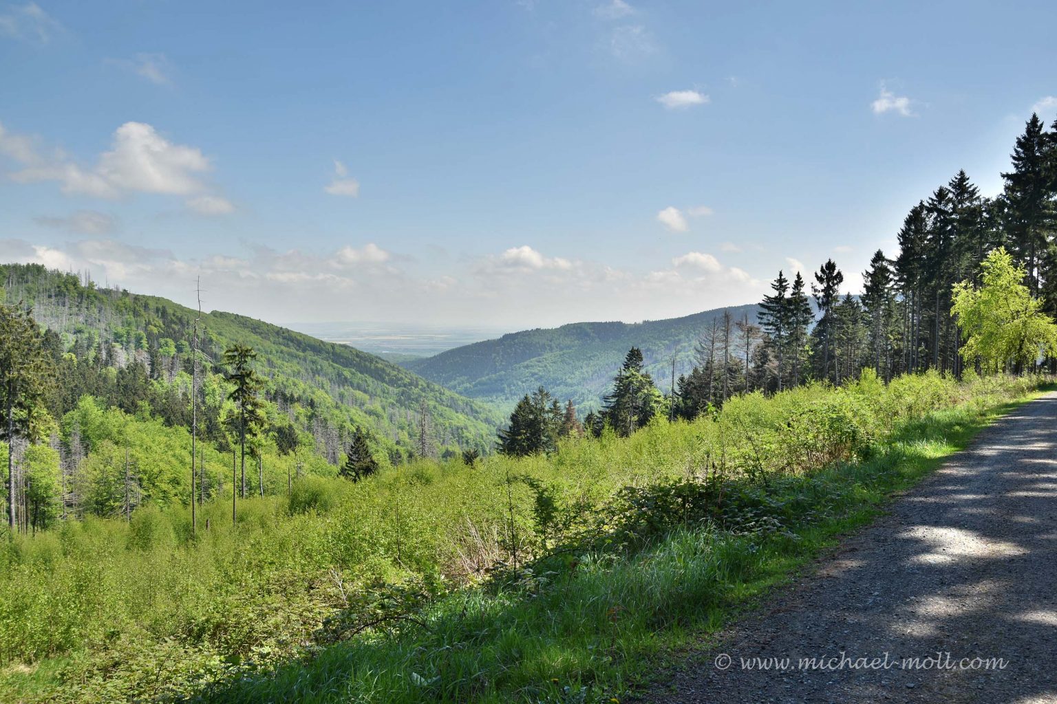 Wanderweg im Harz