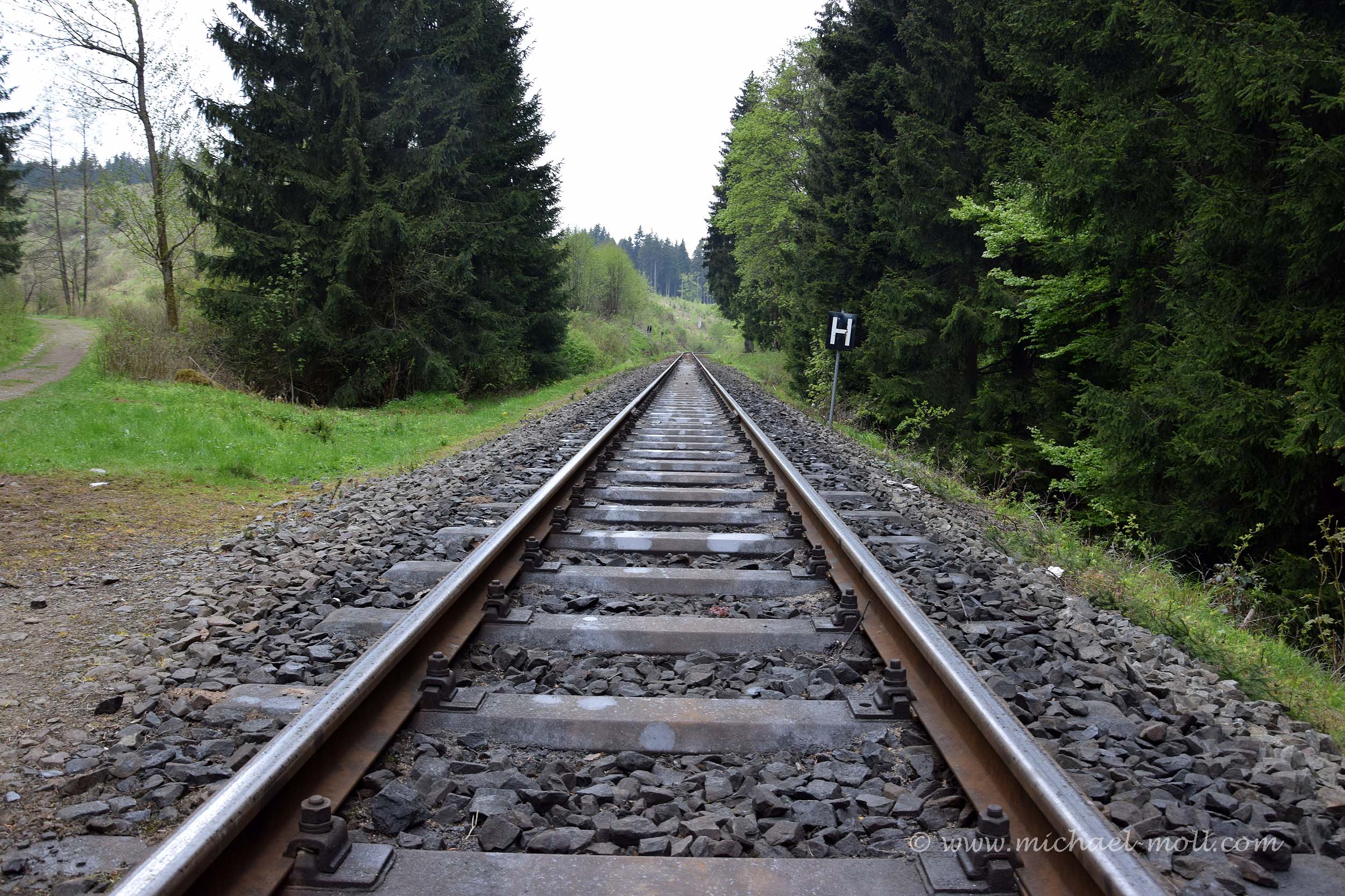 Gleis der Harzer Schmalspurbahn