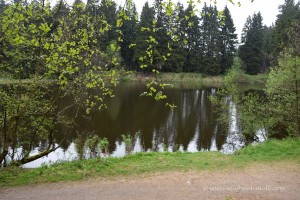 Stierbergsteich