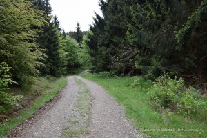 Wanderweg im Harz