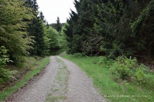 Wanderweg im Harz