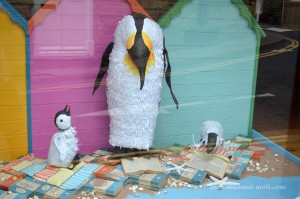 Pinguine im Schaufenster